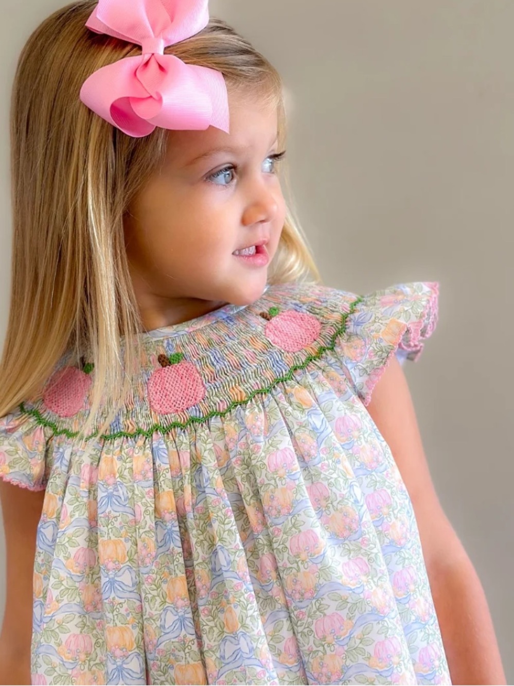 Southern Smocked Co.
SMOCKED PINK PUMPKINS BISHOP DRESS PUMPKINS & VINES 24M/2T